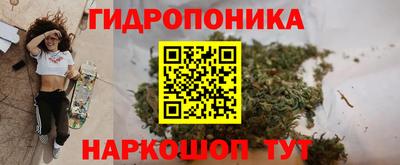 прущие грибы Ирбит