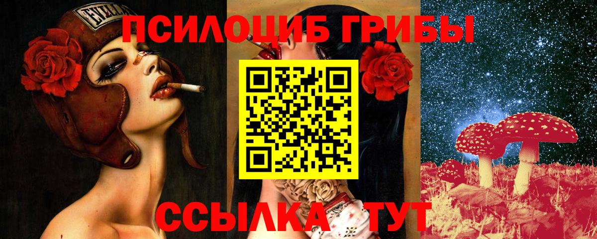 Псилоцибиновые грибы Cubensis Надым